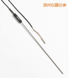 濱州高性能金屬桿標(biāo)準(zhǔn)鉑電阻溫度計(jì)