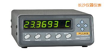 長沙單通道便攜式測溫儀