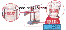 �L(zh��ng)ɳ���M(j��n)����ƽ,210g,0.0001g