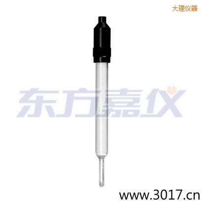 大理玻璃外殼無溫補兩線電導率電極