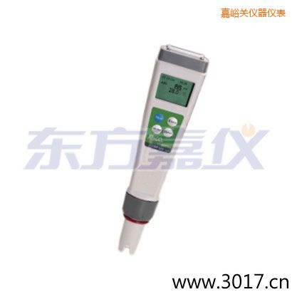 嘉峪關迷你型筆式氧化還原測試儀