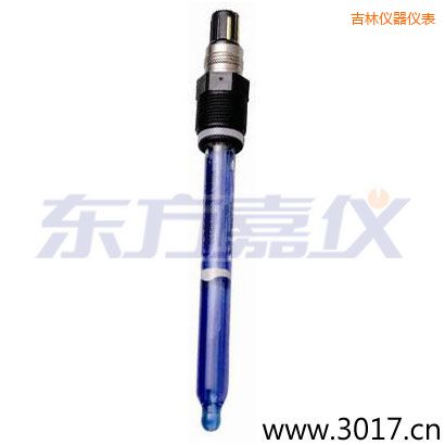 吉林測(cè)純水,超純水 PH電極