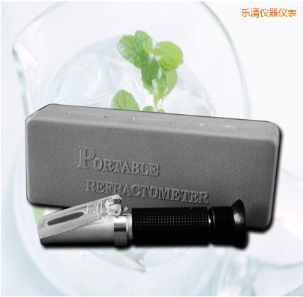 樂清手持式食鹽/鹽度快速測(cè)定儀