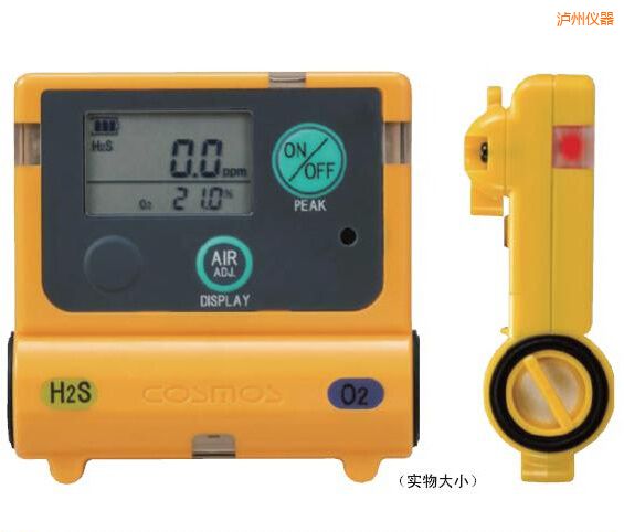 瀘州復(fù)合型氣體檢測器