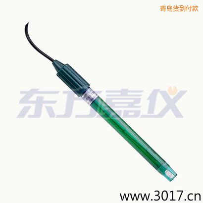 青島PC外殼無溫補(bǔ)復(fù)合電極