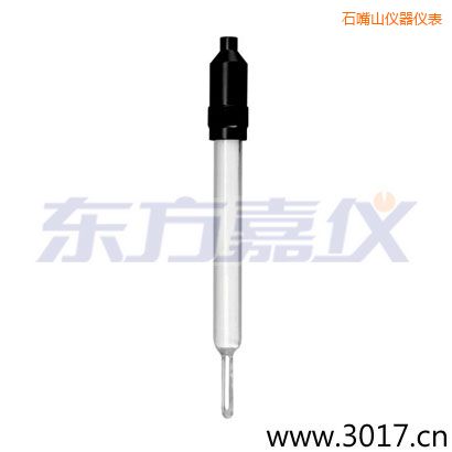 石嘴山玻璃外殼無溫補兩線電導(dǎo)率電極