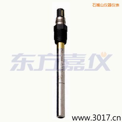 石嘴山電廠痕量溶氧電極