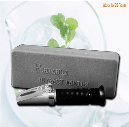 武漢手持式食鹽/鹽度快速測定儀