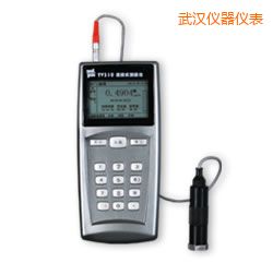 武漢時(shí)代測(cè)振儀表