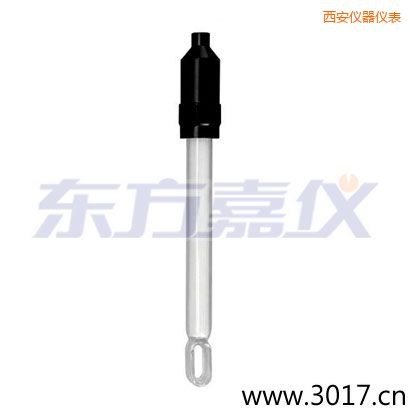 西安無(wú)溫補(bǔ)兩線電導(dǎo)率電極