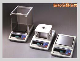 煙臺(tái)GX系列精密電子天平,210g,0.001g
