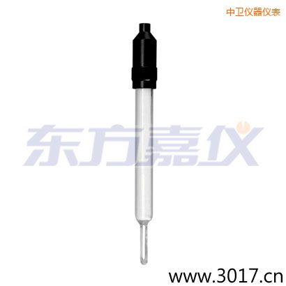 中衛(wèi)玻璃外殼無溫補兩線電導率電極