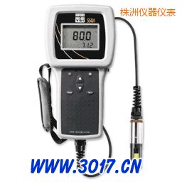 株洲便攜式溶解氧測量儀