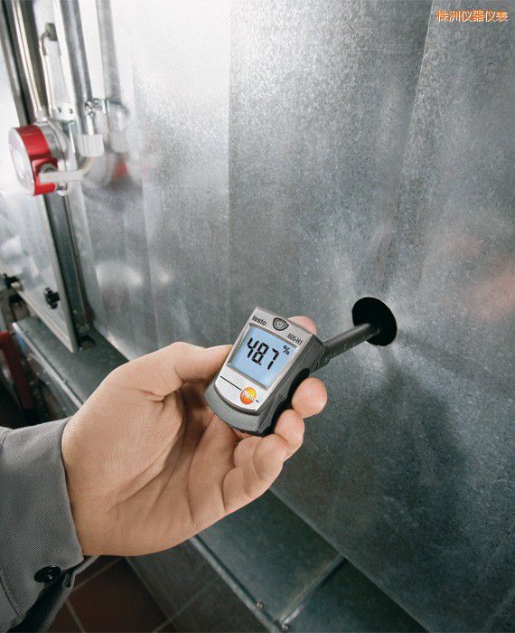 株洲迷你溫濕度計(jì)