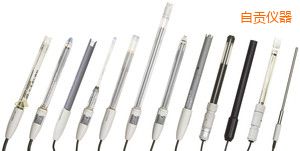 自貢多功能電極